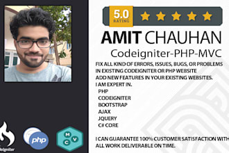 fix bugs errors php mysql json html codeigniter laravel