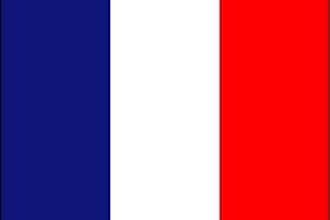 translate your text from english to french or correct your french homework