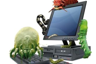audit your website for malware and provide a full report