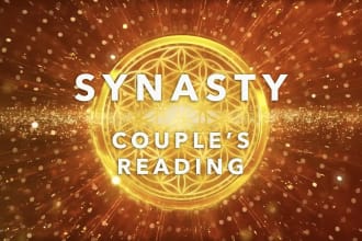 read you a synastry relationship chart