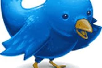 advertise anything to 12500 people on my twitter account like video link message etc