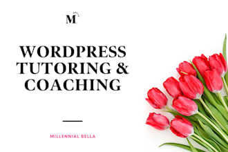 teach you how to safely use and maintain your wordpress website
