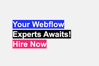 fix any webflow issues