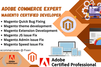 fix any issue or bugs, develop, customize or maintain magento 2 by certified exp