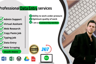 do fast any data entry accurately for you