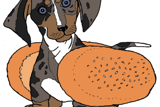 draw any animal in my cartoon style