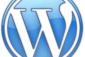 install,setup a wordpress blog,Theme and 9 plugins for SEO,No nudity sites