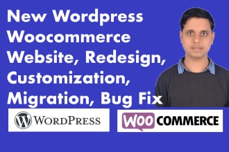 do wordpress woocommerce website customization expert level