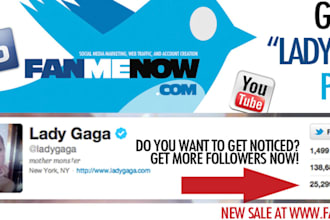add more than 12000+ Real Looking twitter followers without need of password in just four hours after order