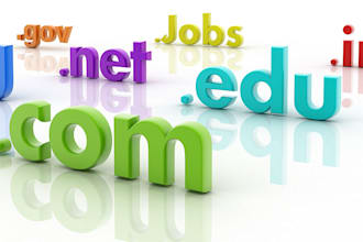 provide domain hosting to you