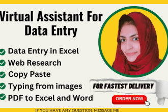 do data entry typing work in excel in one day