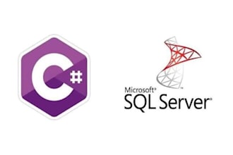 develop csharp desktop or web app projects