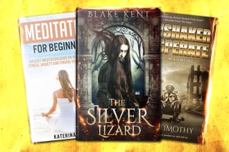 design a professional book cover or ebook cover in 24 hours