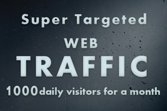 drive super targeted 1000 daily traffic,visitors for a month