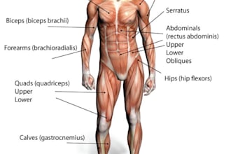 make you video of exercise for any body part