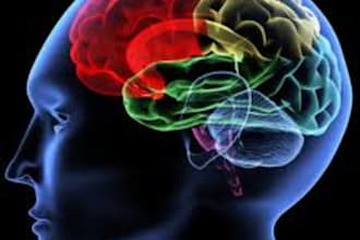 teach you how to lucid dream whenEVER you want