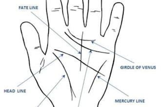 read your palm using Indian palmistry technique