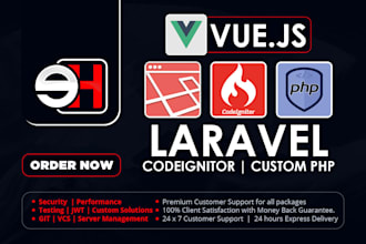 build or fix laravel vue js web app, admin panel, API integration, saas