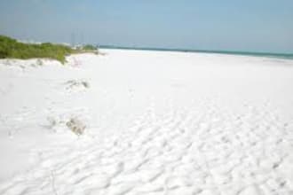 send you Siesta Key, FL, beach sand in a decorative glass