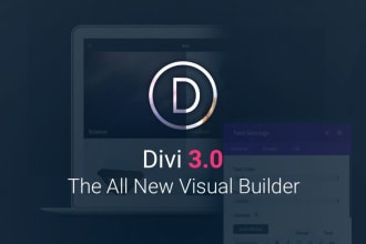 be your divi theme expert