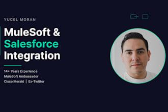 build mulesoft and salesforce API integrations for your business