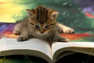 publish amazon reviews on 4 different days from 4 people, can be for same or different kindle content, books and or products