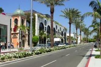 hand out flyers in Beverly Hills California