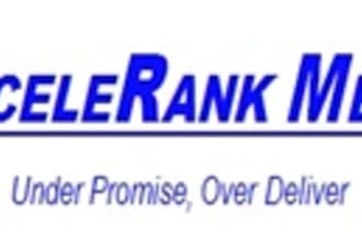 write blog posts and post it on my PR3 or PR4 blogs each article