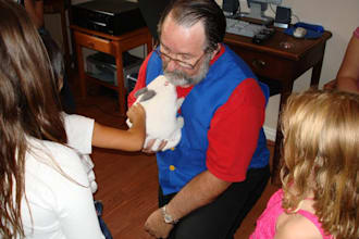 make your someone special a magical wish with the appearance of a live bunny