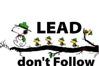 analyze your top competitor to see why they are ranking higher than you