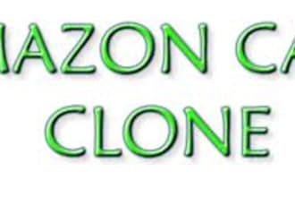 learn Exactly How I made 76600 dollars on Amazon in 5 months