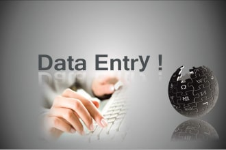 do data entry, excel, word, and database editing