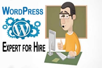 work for 1 hour related to wordpress or website