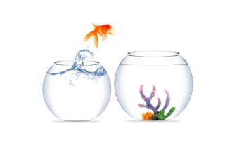 migrate hosting account regardless of control panel