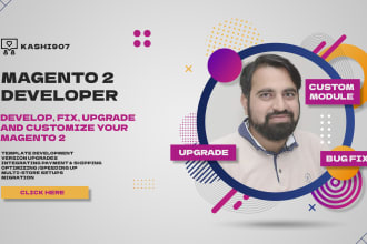 develop, fix and upgrade your magento 2
