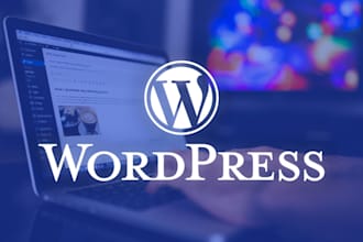 build or update professional wordpress website