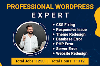 fix wordpress issues,fix wordpress error,wordpress css,