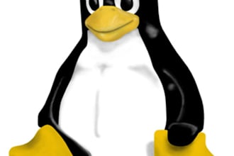 configure a linux webserver