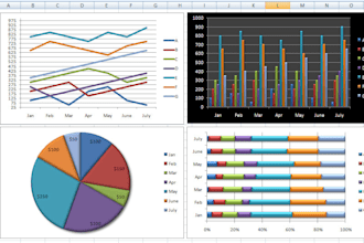 design your professional excel spread sheet and data entry