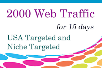 drive super targeted quality and safe website, traffic, visitors for 15 days
