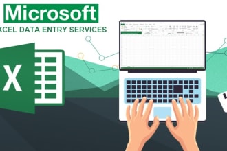 do any excel data entry job