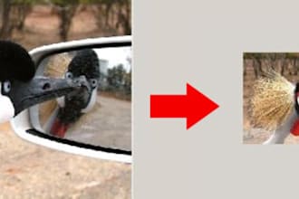 resize 200 photos to any pixel size in two days