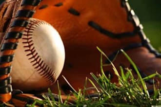 send you over 180 high quality articles on Baseball