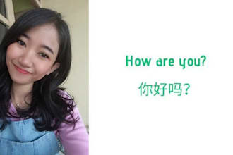 translate any text from english to chinese or vice versa, up to 500 words