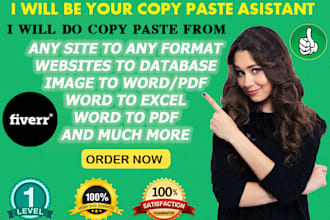 provide data entry and copy paste service for 1 hr pro level