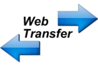 migrate, transfer, move, clone, backup, wordpress website