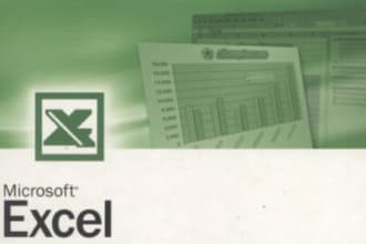 write advanced Excel formulas , also fix  ms access database issues