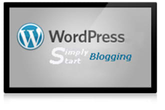 setup a Wordpress for you