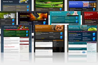 create your MONEY making niche website