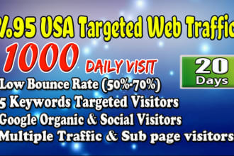 drive fast USA targeted website,traffic,daily visitors